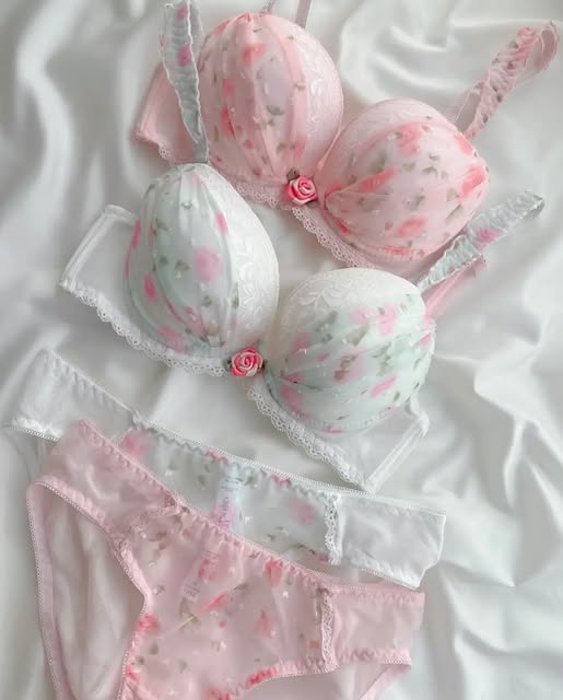 Pack of 3 Blush Petal Lace Bra Set