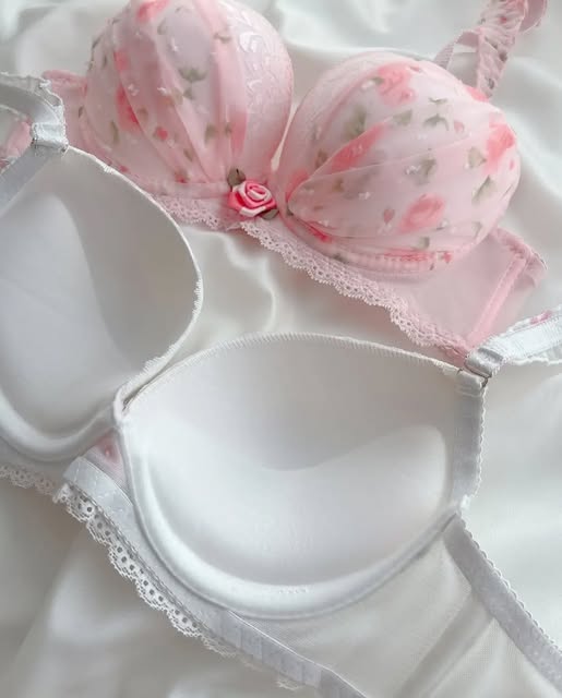 Pack of 3 Blush Petal Lace Bra Set